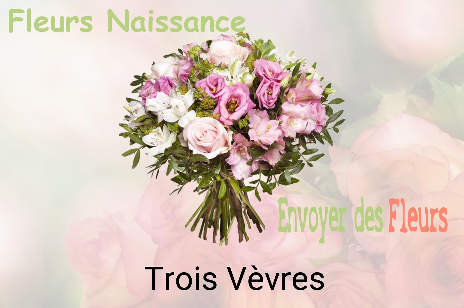 Bouquet de fleurs de naissance livré à Trois-Vèvres