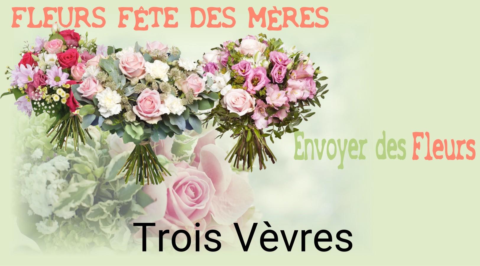 Bouquet de Fête des Mères livré à Trois-Vèvres